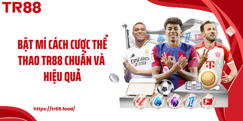 Bật mí cách cược thể thao TR88 chuẩn và hiệu quả
