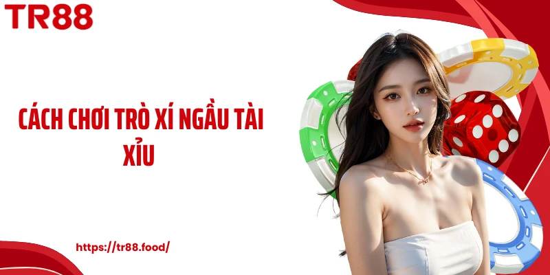 Hiểu Cách Chơi Trò Xí Ngầu Tài Xỉu TR88 Để Làm Chủ Bàn Cược