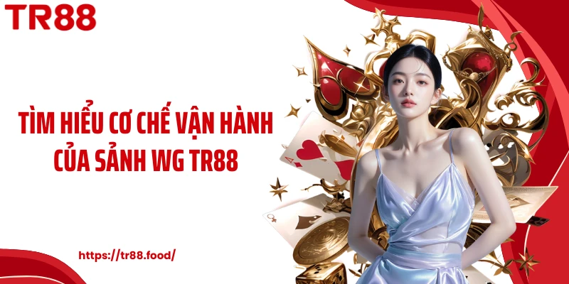 Tìm hiểu cơ chế vận hành của sảnh WG TR88